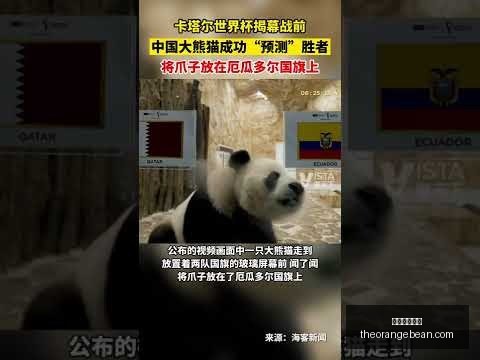 吴宇斩获速,度滑冰,米金牌,星空体育官网,星空体育App,星空体育直播,星空体育平台,星空体育入口